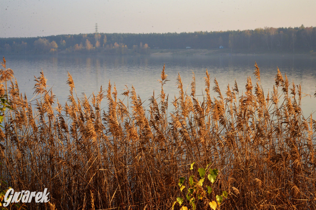Dobre miejsce na jesienny spacer