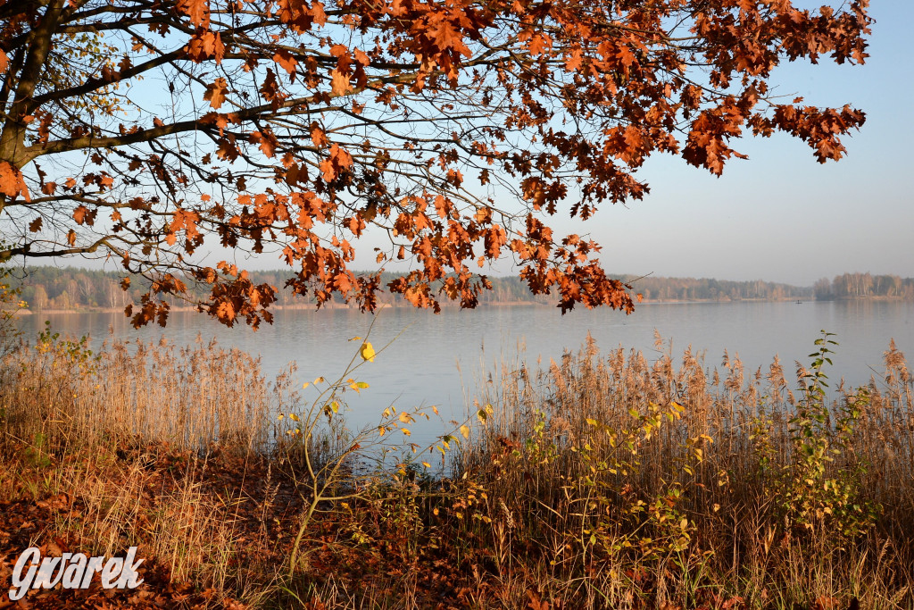 Dobre miejsce na jesienny spacer