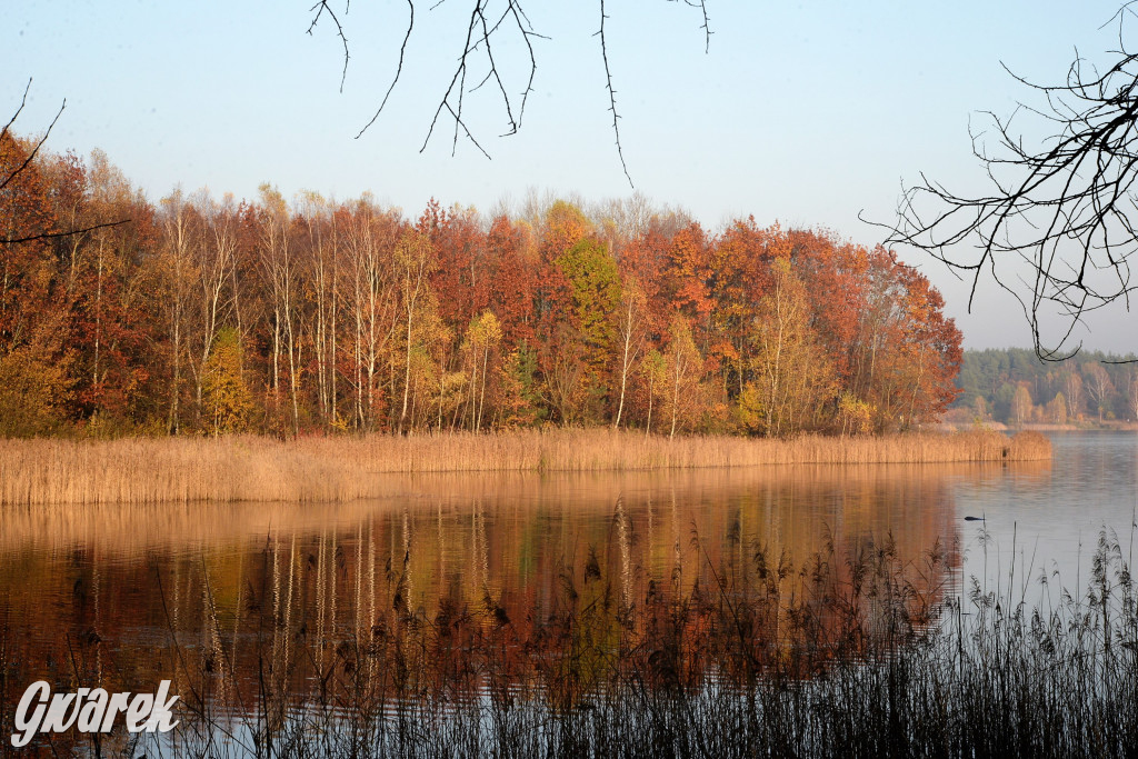 Dobre miejsce na jesienny spacer