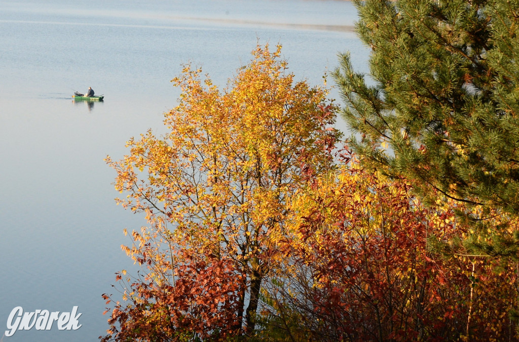 Dobre miejsce na jesienny spacer