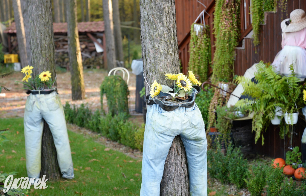 Dobre miejsce na jesienny spacer