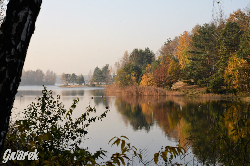 Dobre miejsce na jesienny spacer