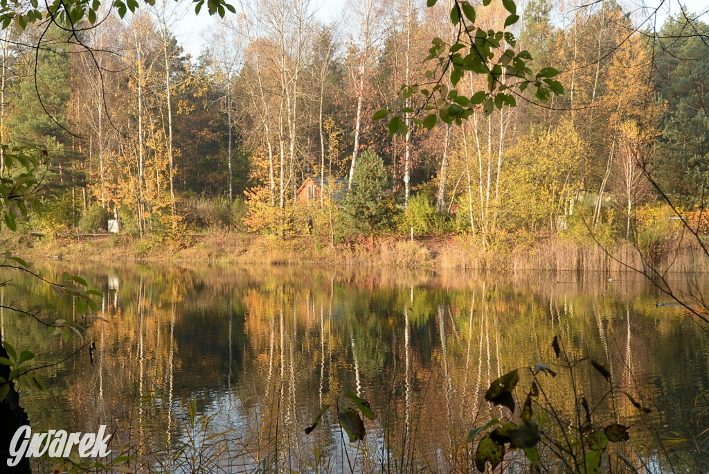 Dobre miejsce na jesienny spacer