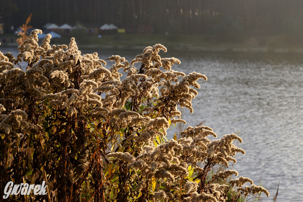 Dobre miejsce na jesienny spacer