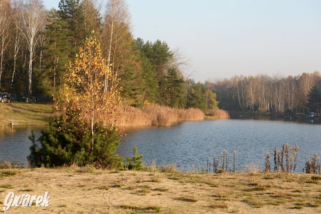 Dobre miejsce na jesienny spacer