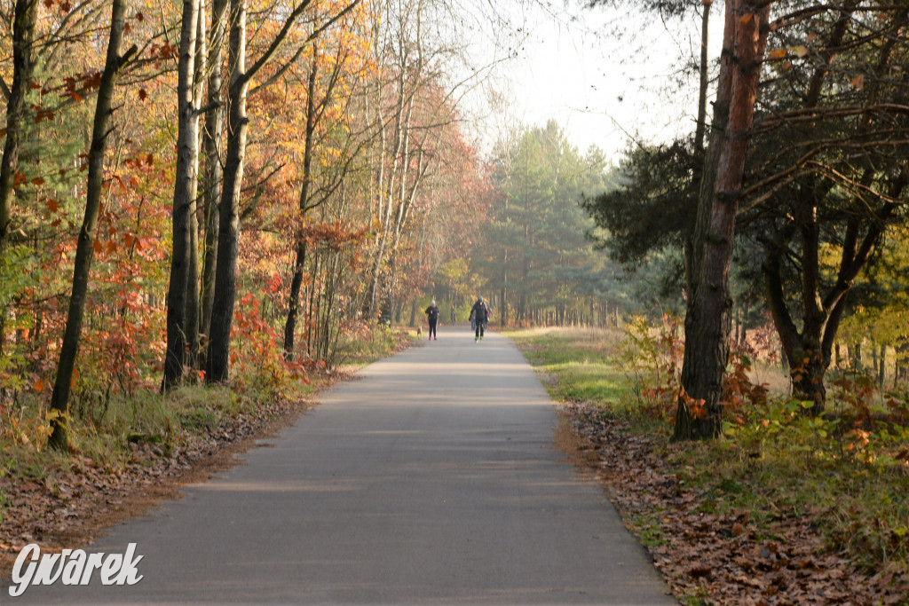 Dobre miejsce na jesienny spacer