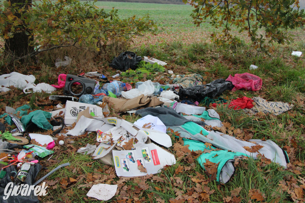 Dzikie wysypisko między Lasowicami a Nakłem Śląskim