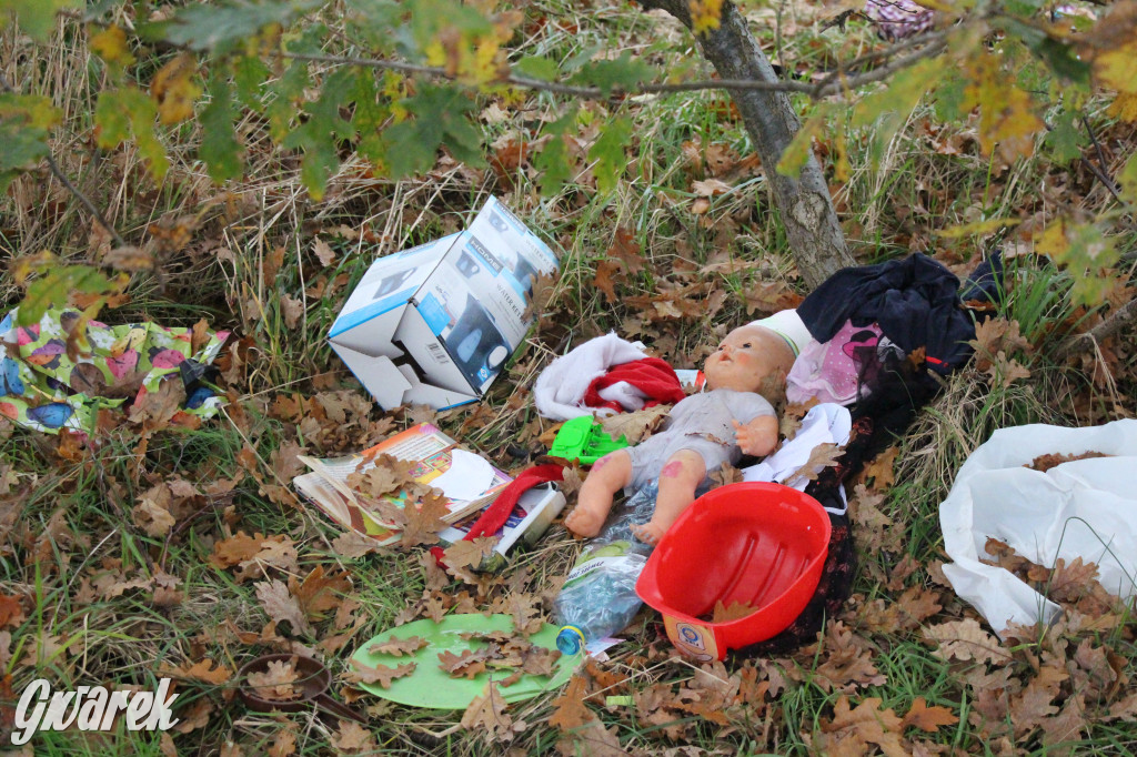 Dzikie wysypisko między Lasowicami a Nakłem Śląskim