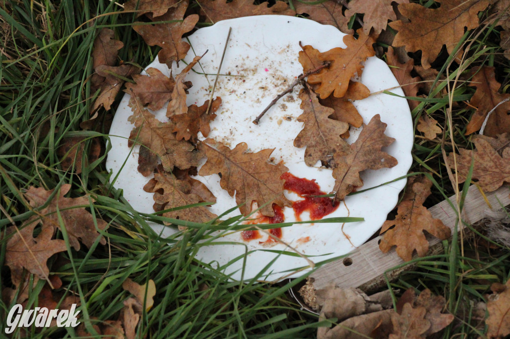 Dzikie wysypisko między Lasowicami a Nakłem Śląskim