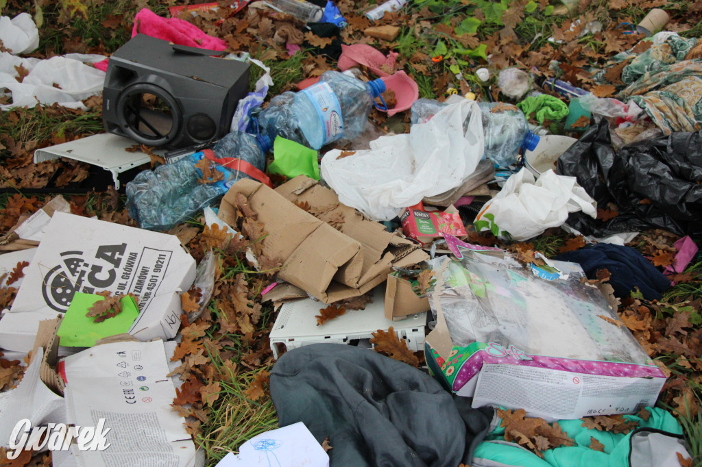 Dzikie wysypisko między Lasowicami a Nakłem Śląskim