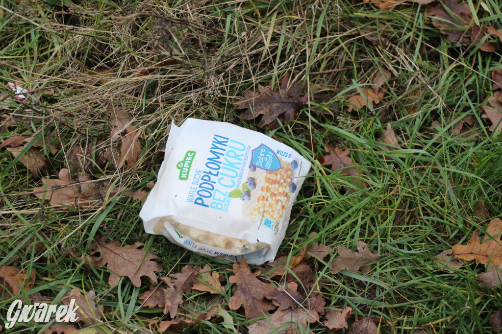 Dzikie wysypisko między Lasowicami a Nakłem Śląskim