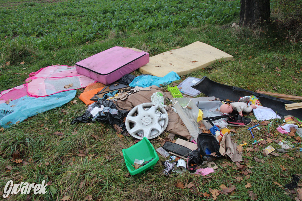 Dzikie wysypisko między Lasowicami a Nakłem Śląskim