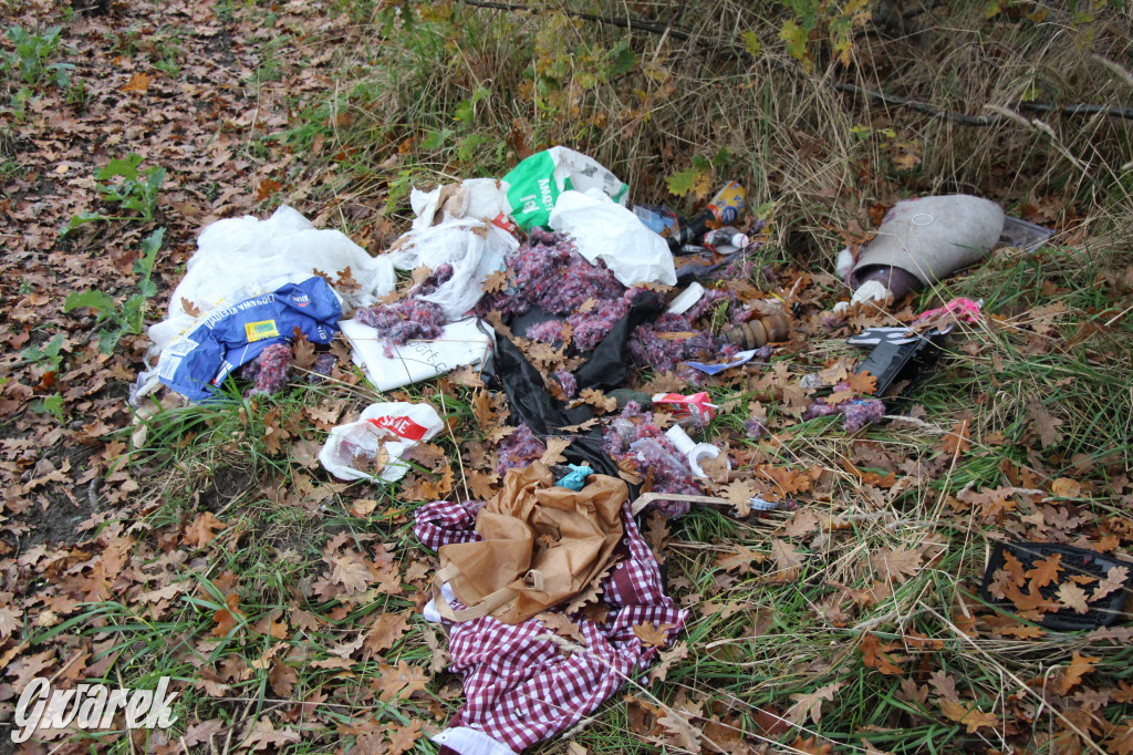 Dzikie wysypisko między Lasowicami a Nakłem Śląskim