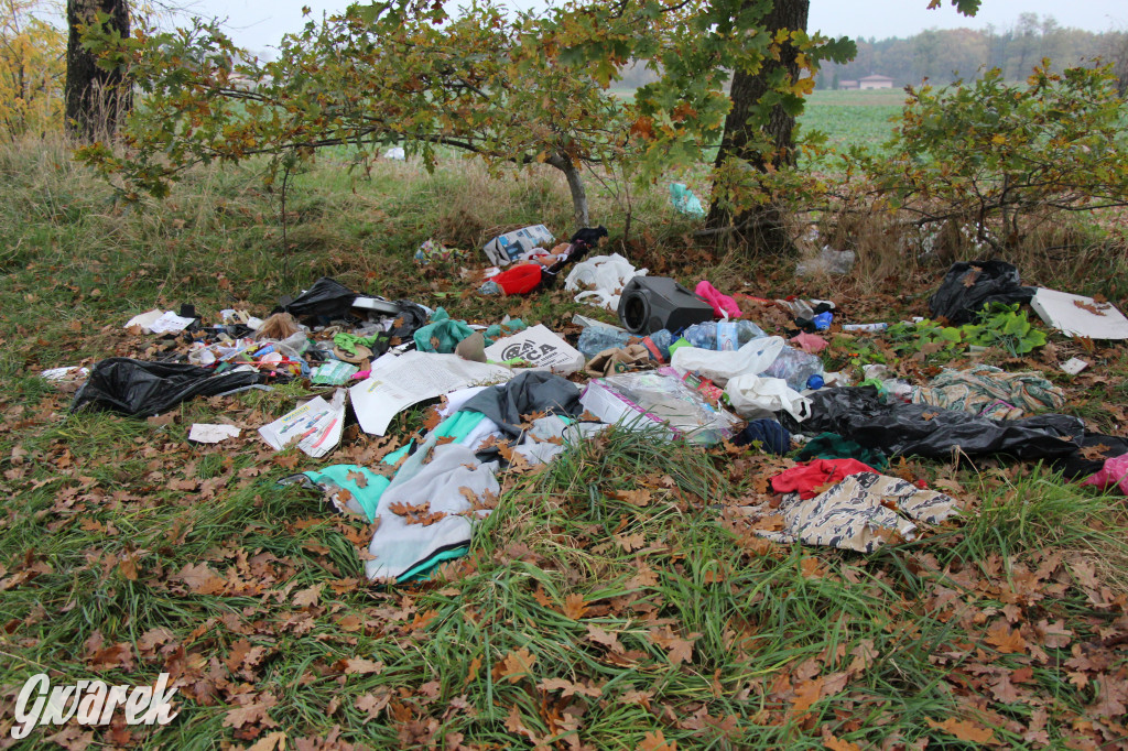 Dzikie wysypisko między Lasowicami a Nakłem Śląskim