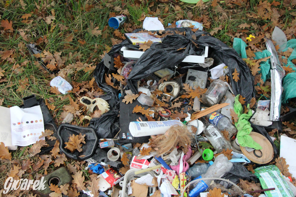 Dzikie wysypisko między Lasowicami a Nakłem Śląskim