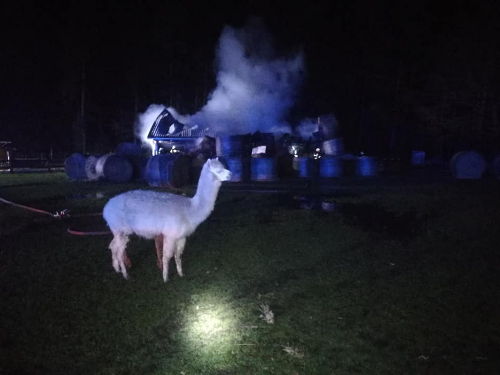 Duży pożar stajni w Nowej Wsi Tworoskiej