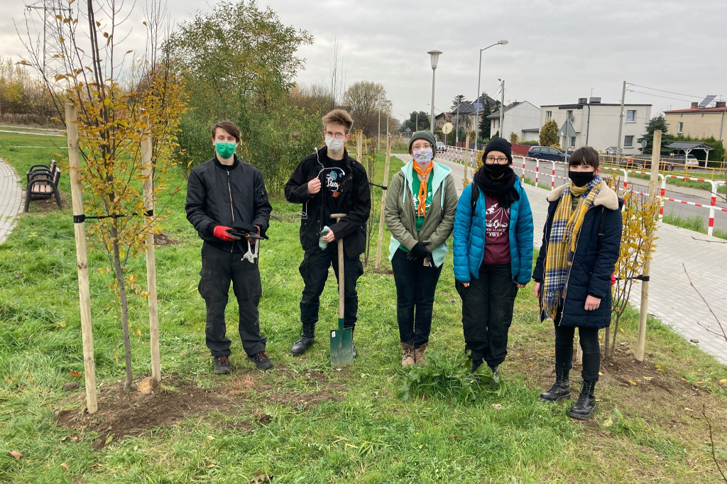 Harcerze sadzili drzewa na skwerze przy ul. Morcinka
