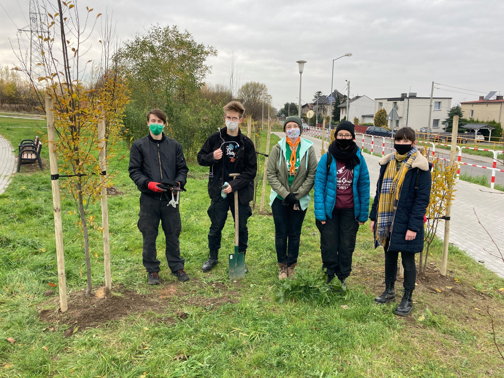 Harcerze sadzili drzewa na skwerze przy ul. Morcinka