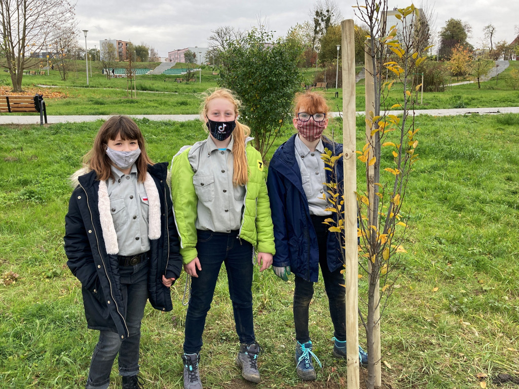 Harcerze sadzili drzewa na skwerze przy ul. Morcinka