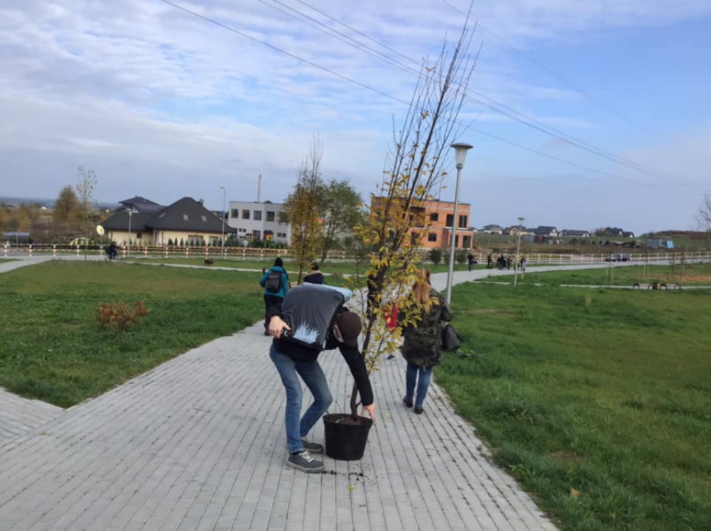 Harcerze sadzili drzewa na skwerze przy ul. Morcinka