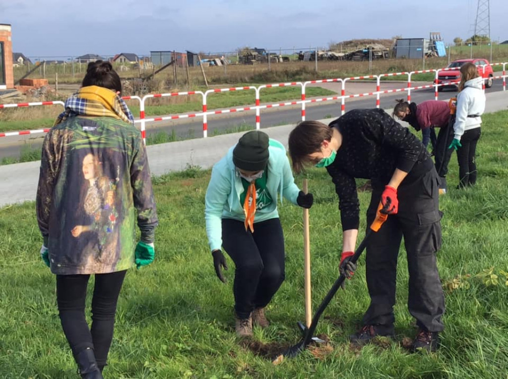 Harcerze sadzili drzewa na skwerze przy ul. Morcinka