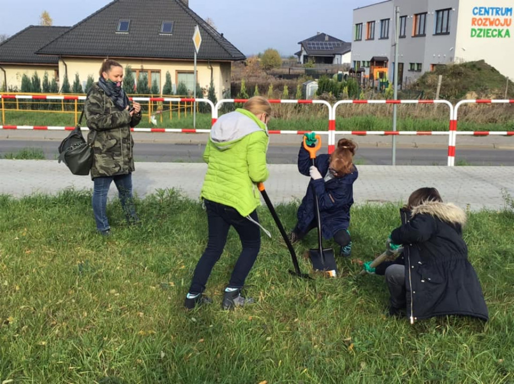 Harcerze sadzili drzewa na skwerze przy ul. Morcinka