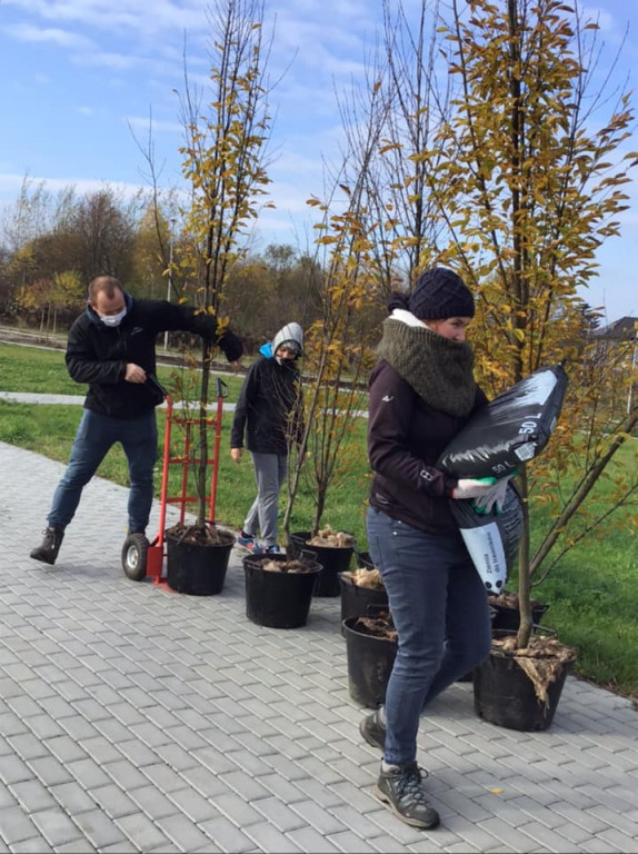 Harcerze sadzili drzewa na skwerze przy ul. Morcinka