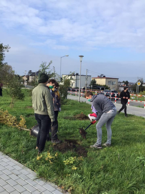 Harcerze sadzili drzewa na skwerze przy ul. Morcinka