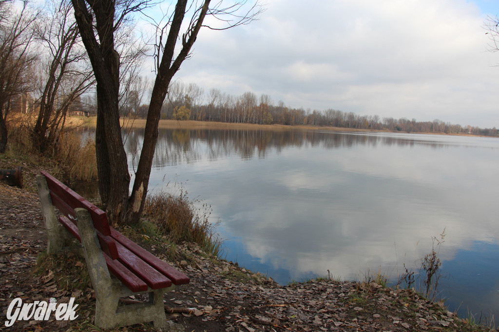 Gdzie na niedzielny spacer? Może Pogoria?