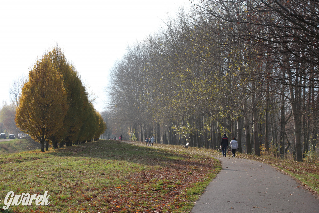 Gdzie na niedzielny spacer? Może Pogoria?