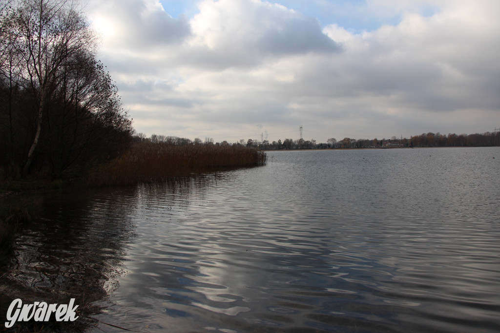 Gdzie na niedzielny spacer? Może Pogoria?