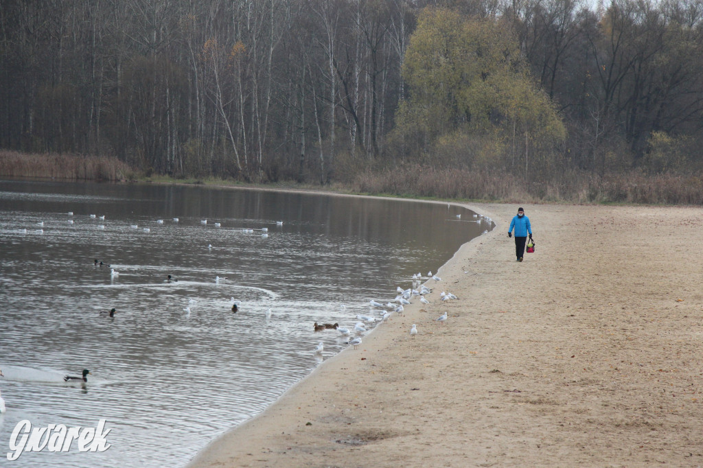 Gdzie na niedzielny spacer? Może Pogoria?