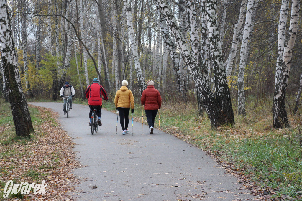Gdzie na niedzielny spacer? Może Pogoria?