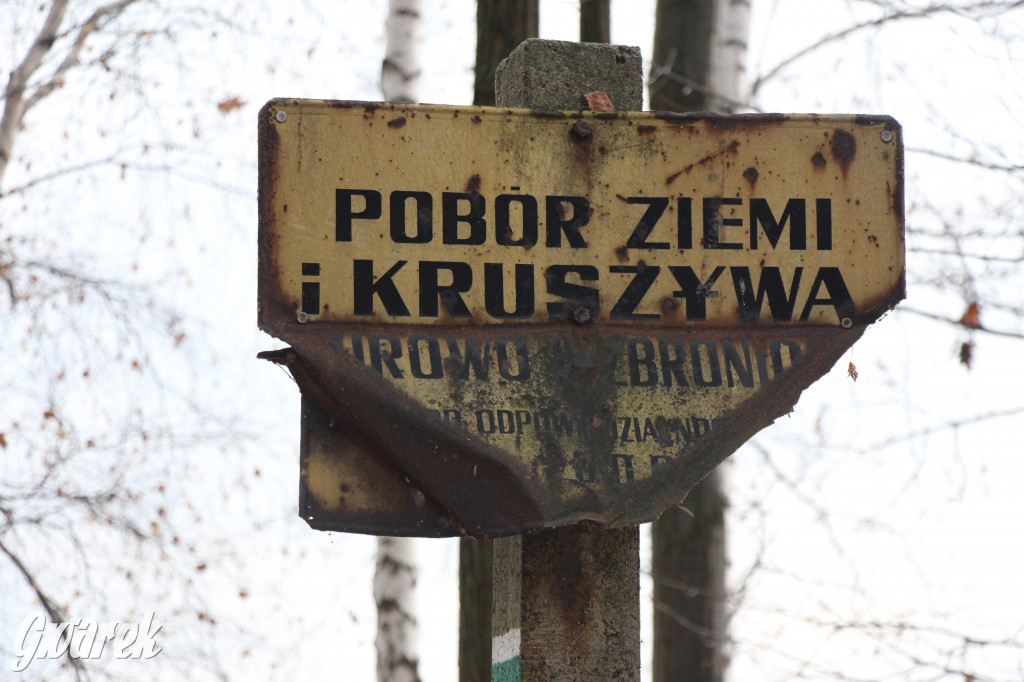 Gdzie na niedzielny spacer? Może Pogoria?