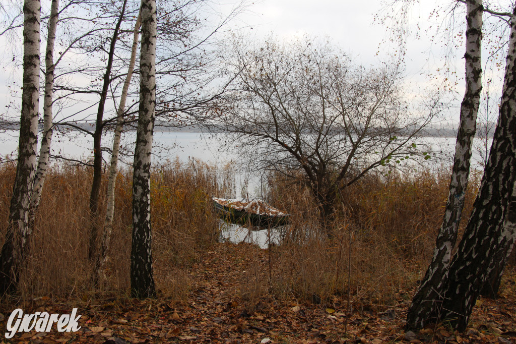 Gdzie na niedzielny spacer? Może Pogoria?