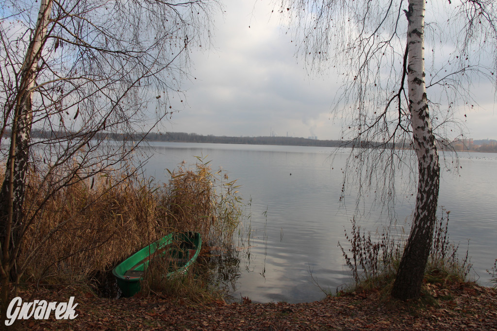 Gdzie na niedzielny spacer? Może Pogoria?