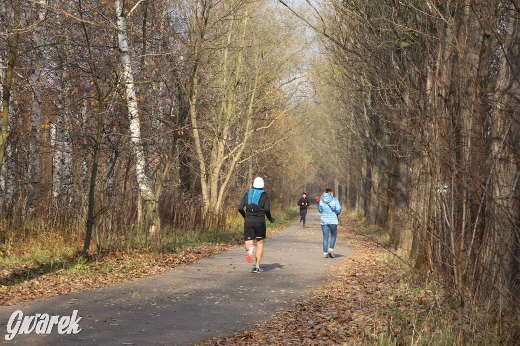 Gdzie na niedzielny spacer? Może Pogoria?