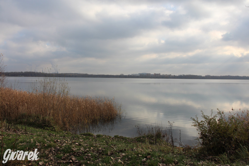 Gdzie na niedzielny spacer? Może Pogoria?