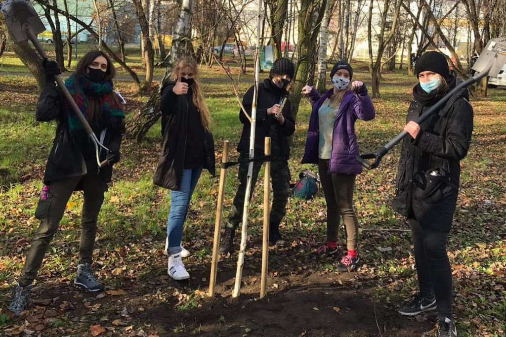 Harcerze w akcji. Tym razem sadzili drzewa w Strzybnicy