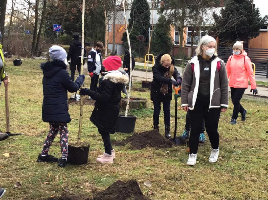 Harcerze w akcji. Tym razem sadzili drzewa w Strzybnicy