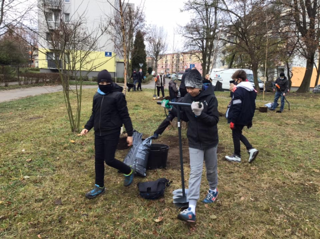 Harcerze w akcji. Tym razem sadzili drzewa w Strzybnicy