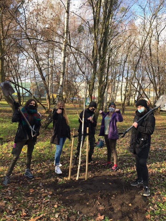 Harcerze w akcji. Tym razem sadzili drzewa w Strzybnicy