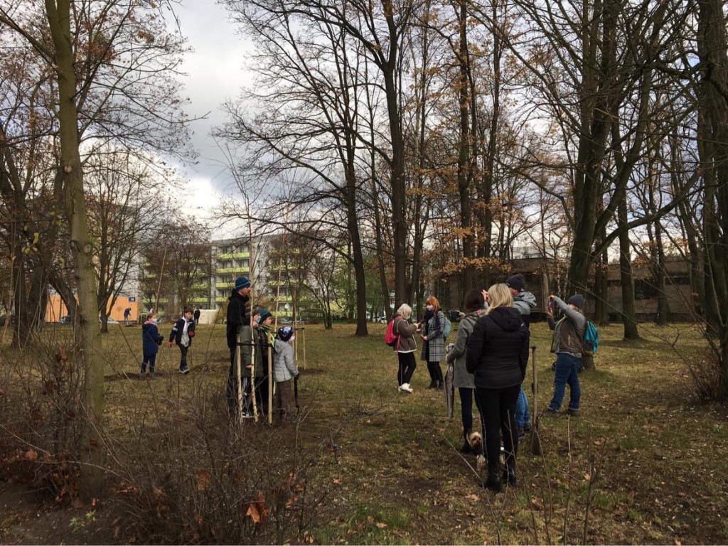 Harcerze w akcji. Tym razem sadzili drzewa w Strzybnicy
