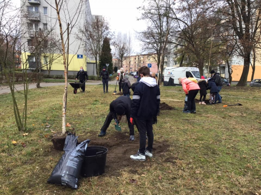 Harcerze w akcji. Tym razem sadzili drzewa w Strzybnicy