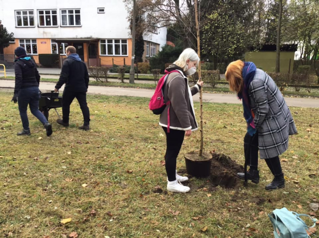 Harcerze w akcji. Tym razem sadzili drzewa w Strzybnicy