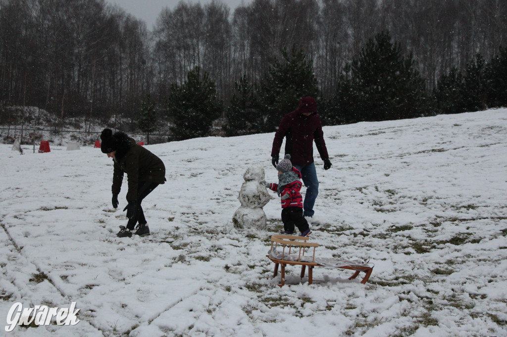 Spadł pierwszy śnieg: sanki, bałwany, radość