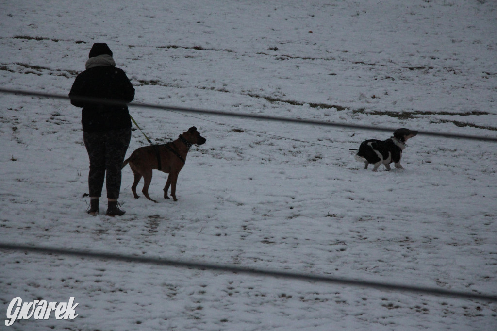 Spadł pierwszy śnieg: sanki, bałwany, radość