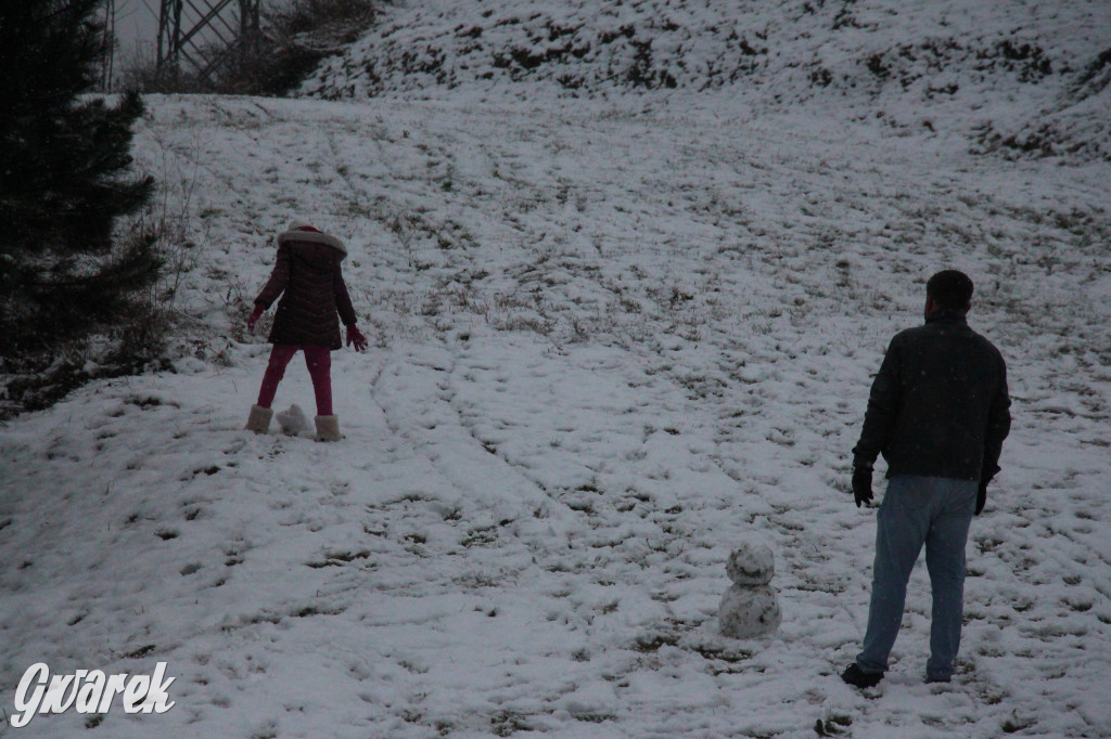 Spadł pierwszy śnieg: sanki, bałwany, radość