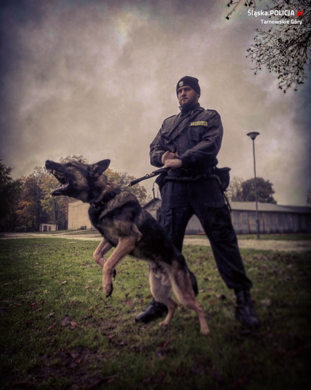 Nowy pies w tarnogórskiej komendzie policji
