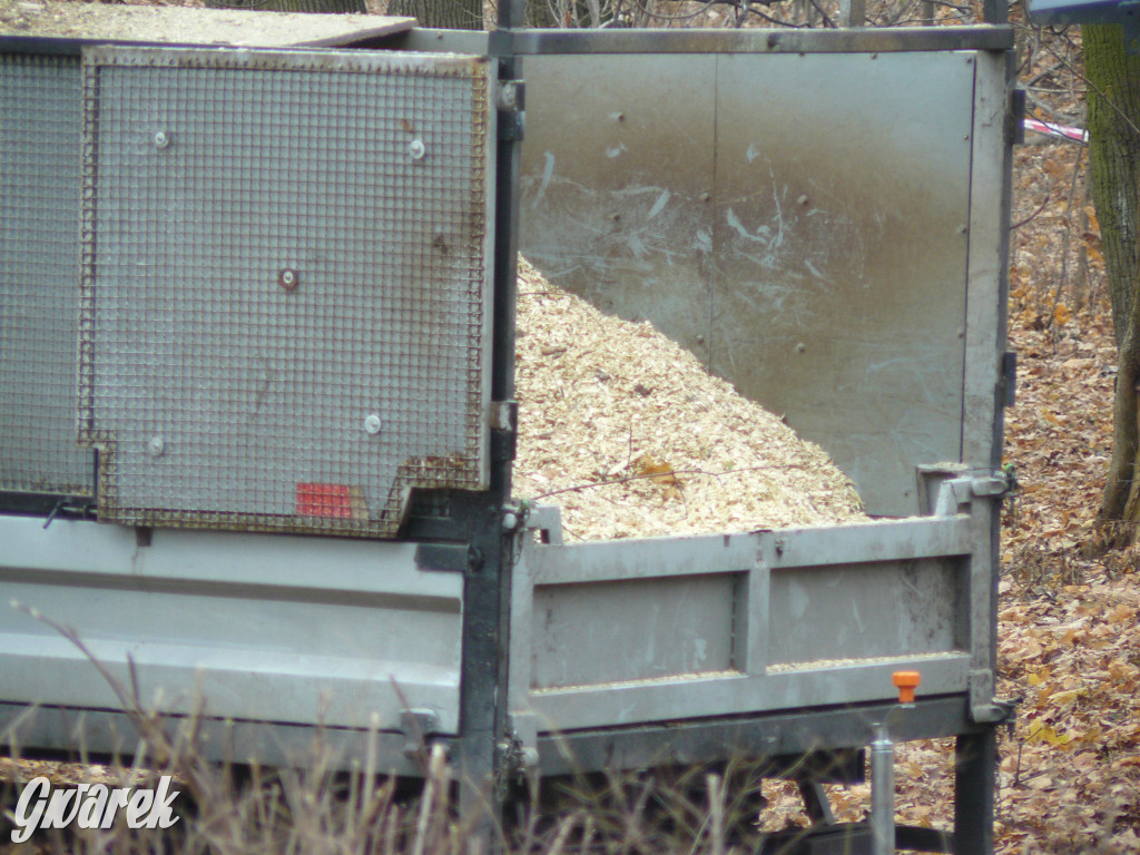 4 grudnia rozpoczęła się wycinka drzew w parku